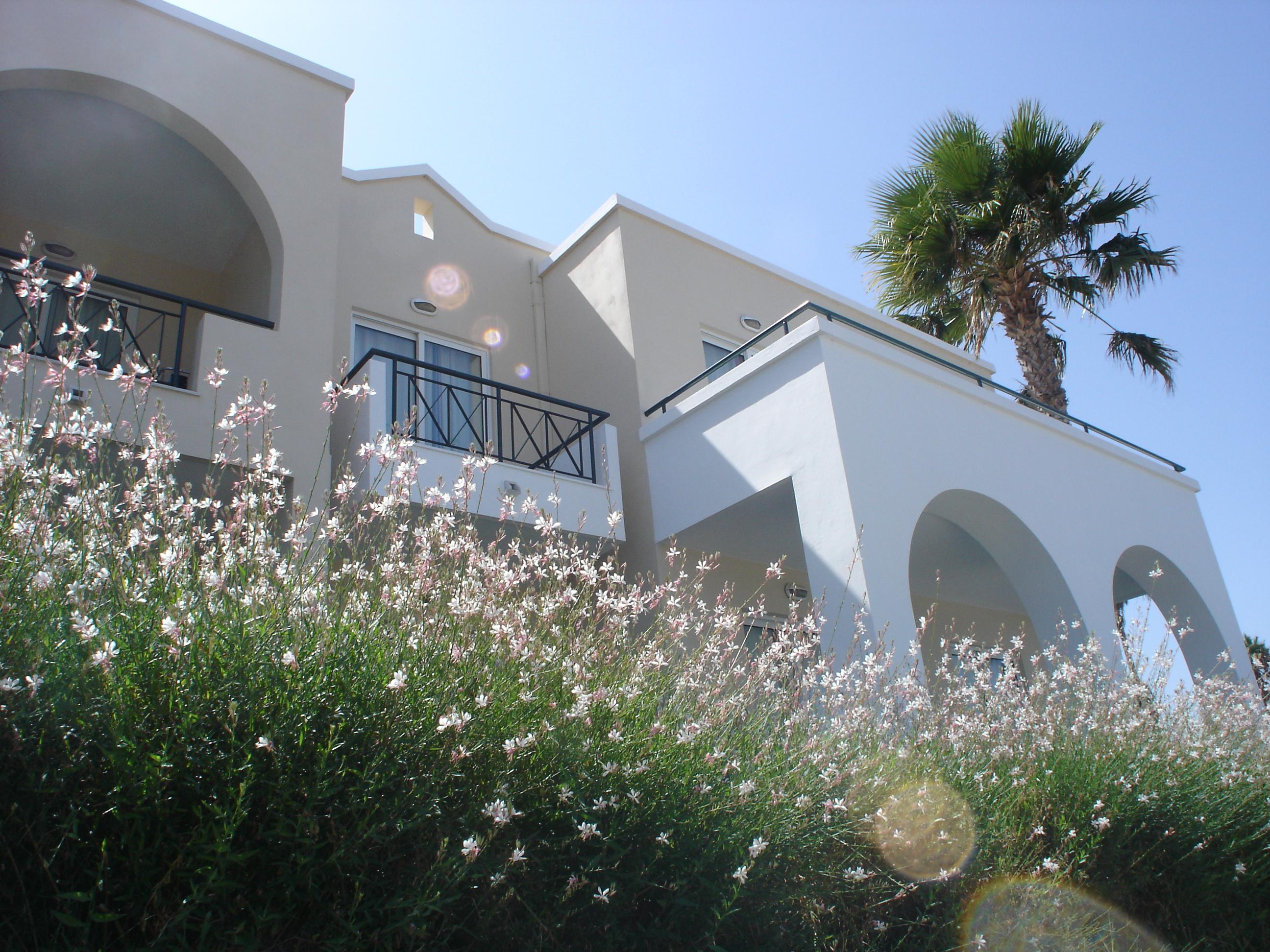 Andromeda Hotel Apartments Psalidi  Bagian luar foto