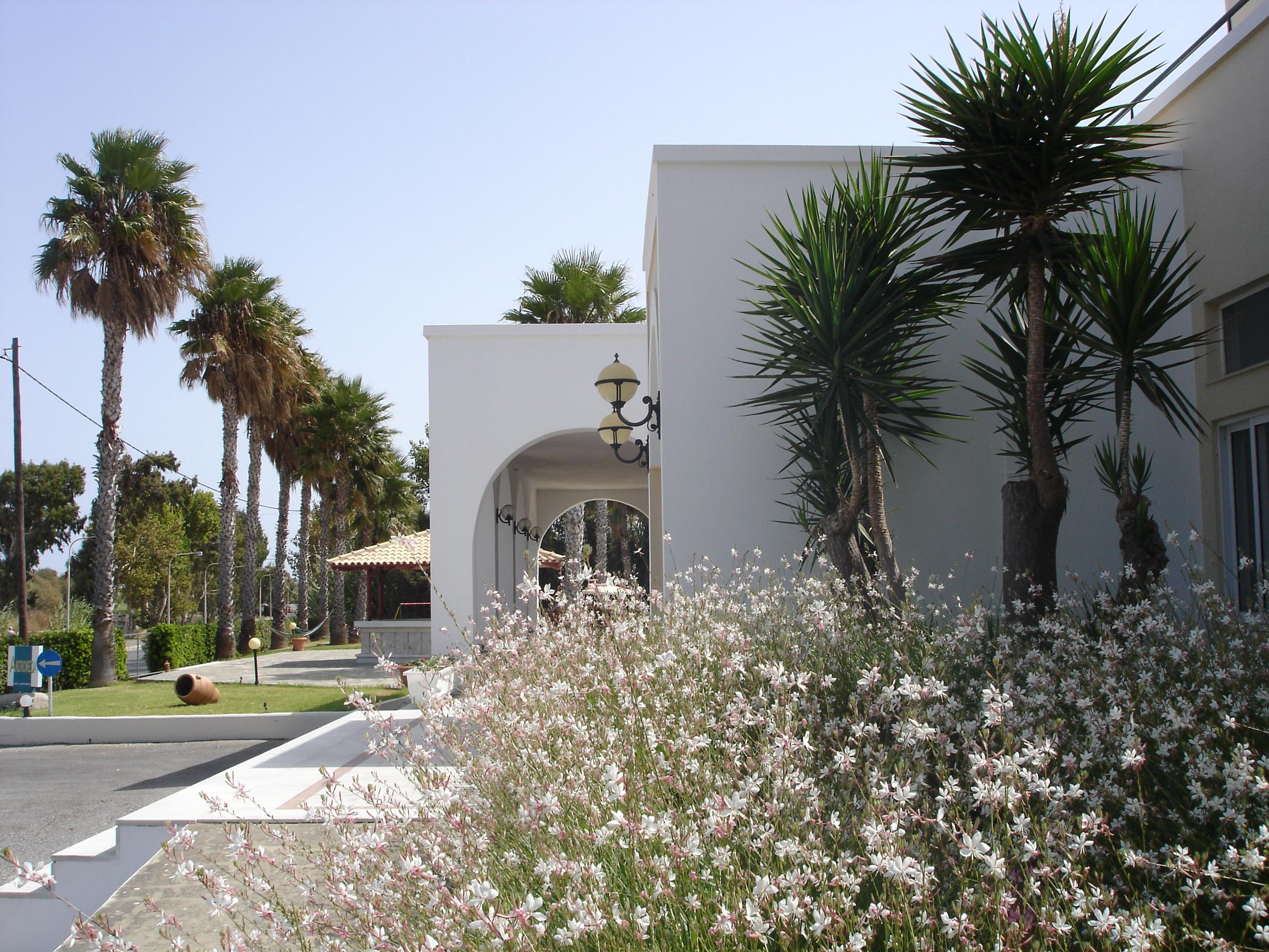 Andromeda Hotel Apartments Psalidi  Bagian luar foto