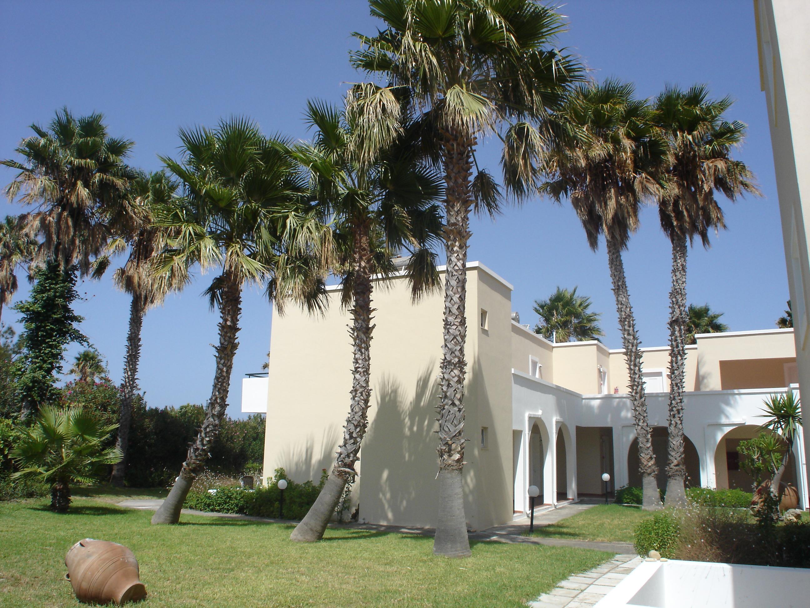 Andromeda Hotel Apartments Psalidi  Bagian luar foto