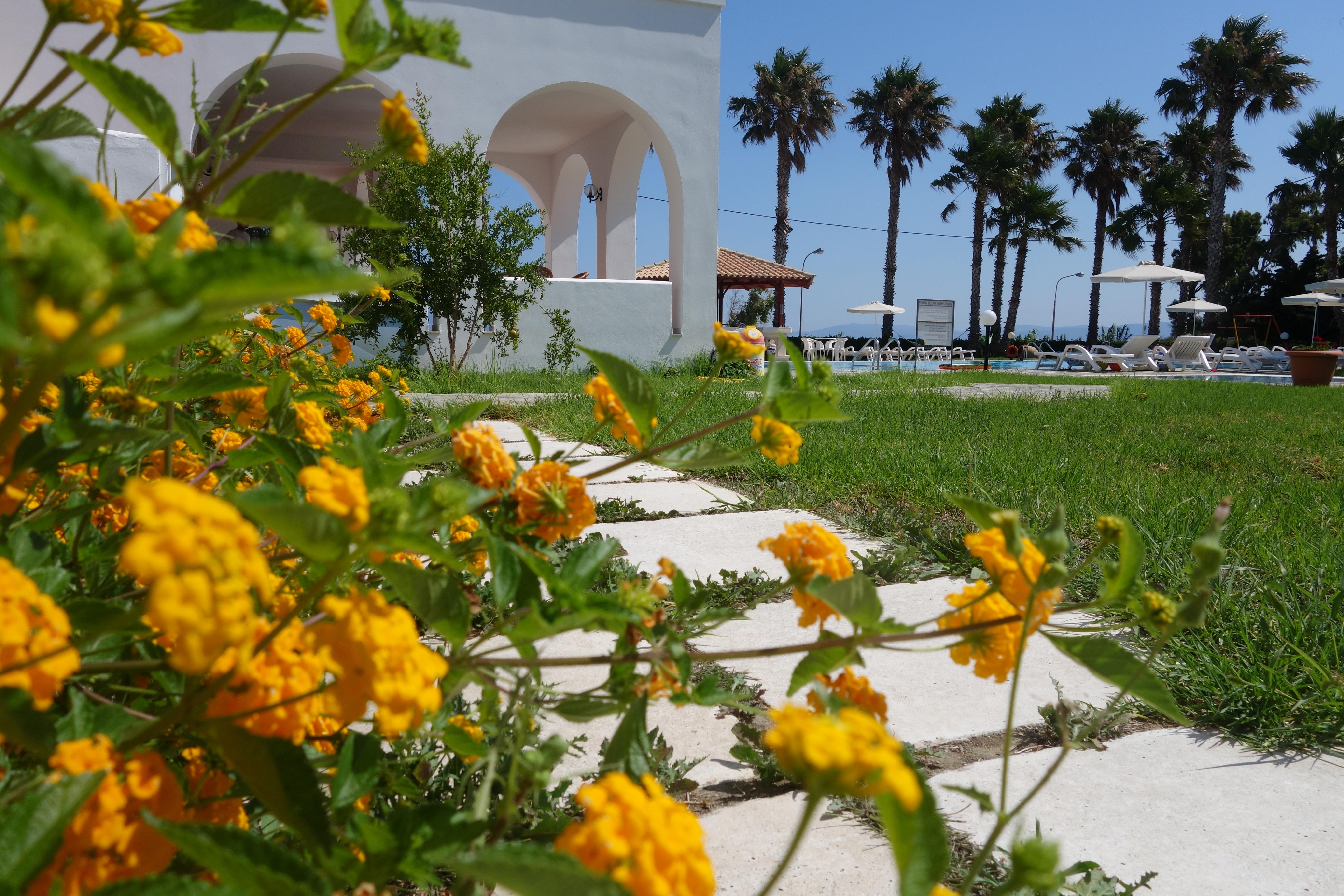 Andromeda Hotel Apartments Psalidi  Bagian luar foto