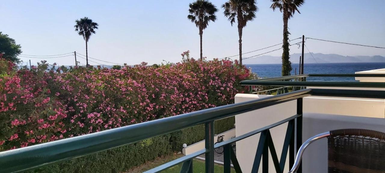 Andromeda Hotel Apartments Psalidi  Bagian luar foto